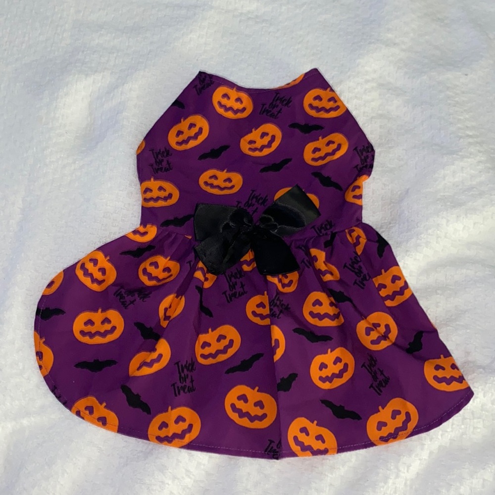 Halloween dog dress.